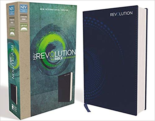 NIV Revolution Teen Bible for Boys
