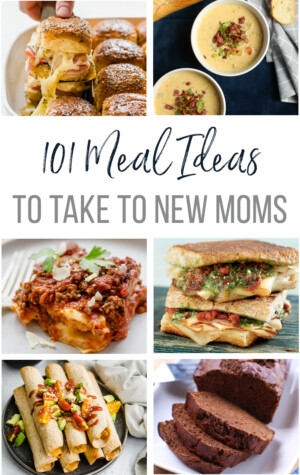 100+ Freezer Meals for New Moms - Thriving Home