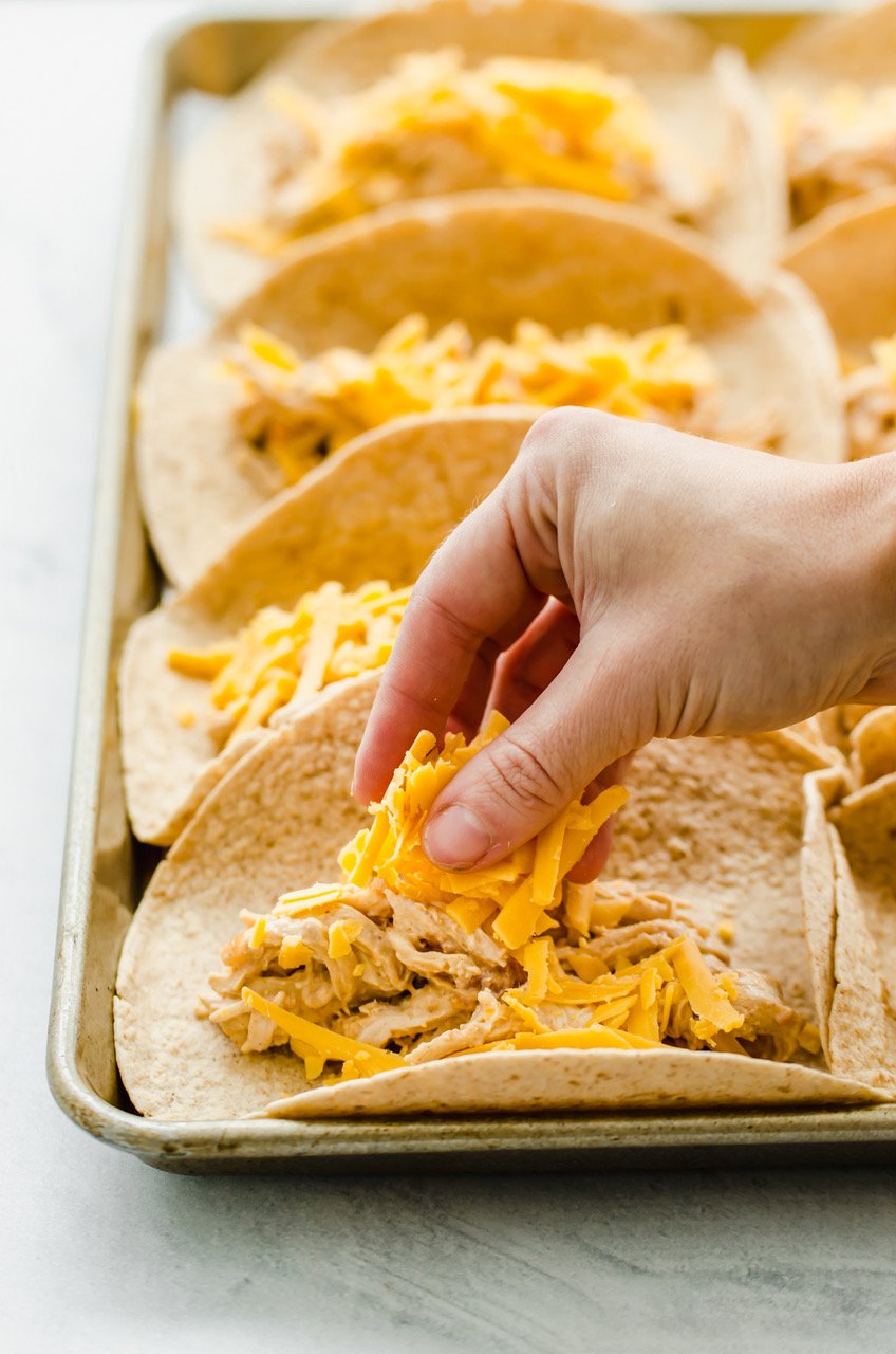 Shredded cheese being sprinkled into tortillas on top of a shredded chicken mixture.