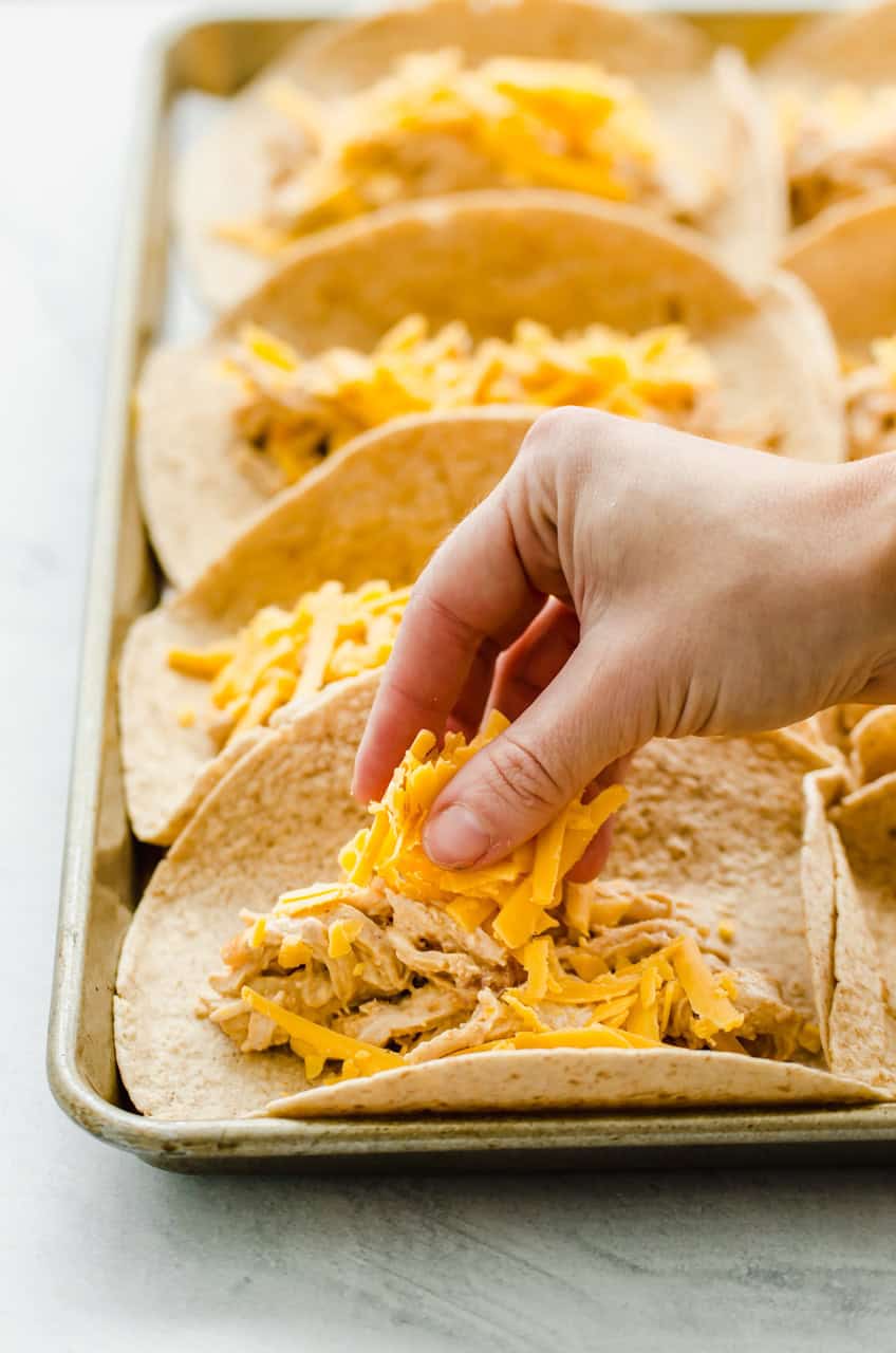 Shredded cheese being sprinkled into tortillas on top of shredded chicken.