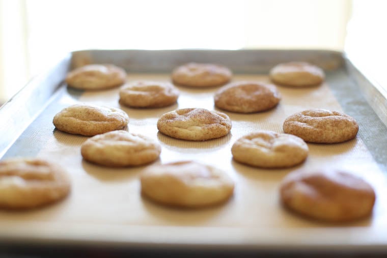Snickerdoodle cookies on a baking sheet.