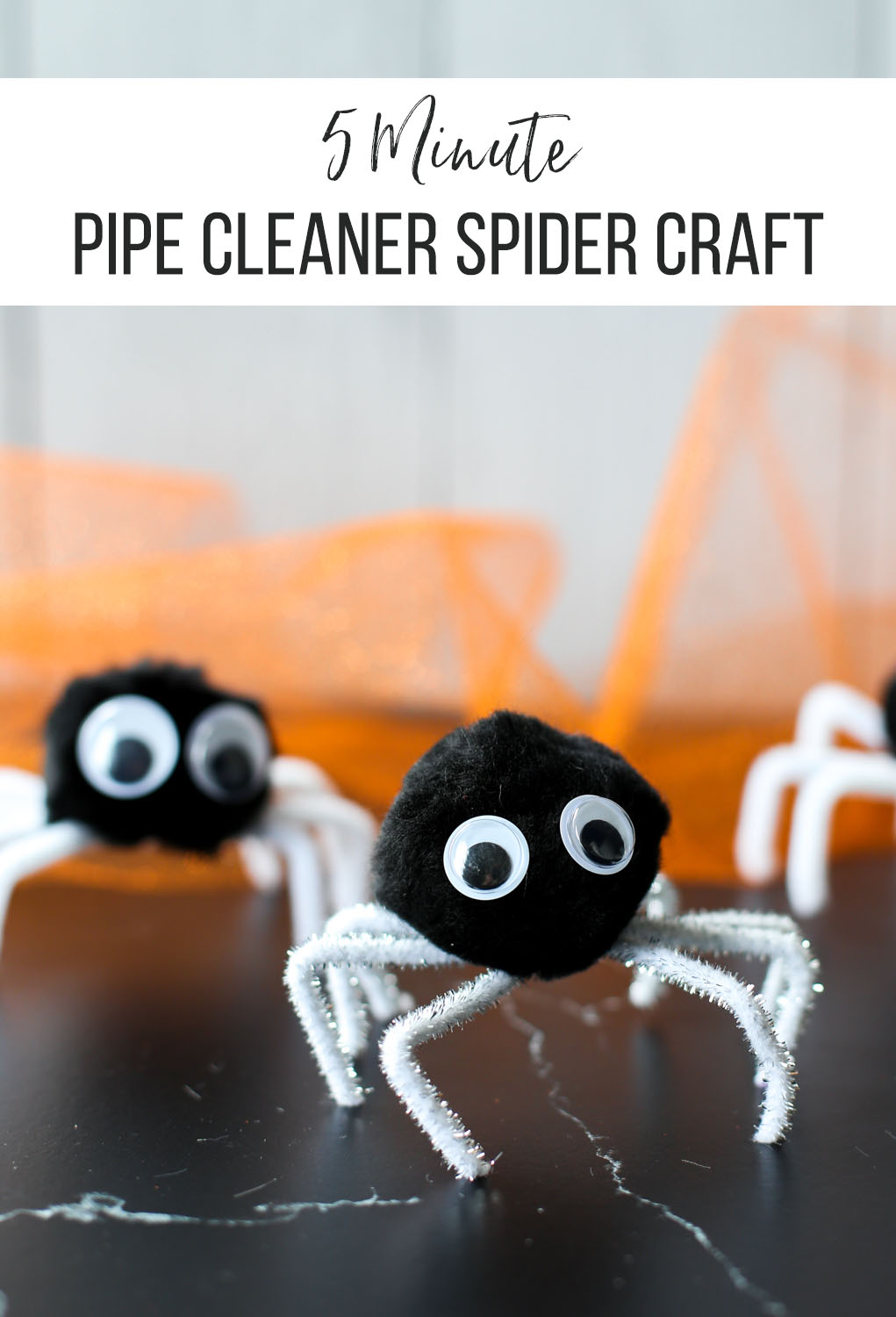 Pipe cleaner spider craft with block pom pom and googly eyes.