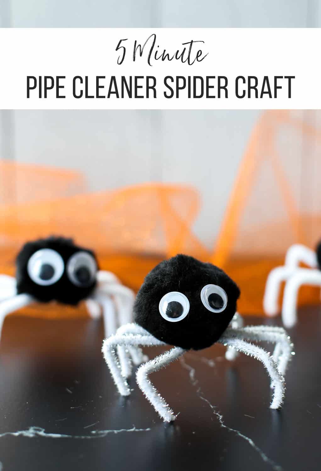 Pipe Cleaner Spiders