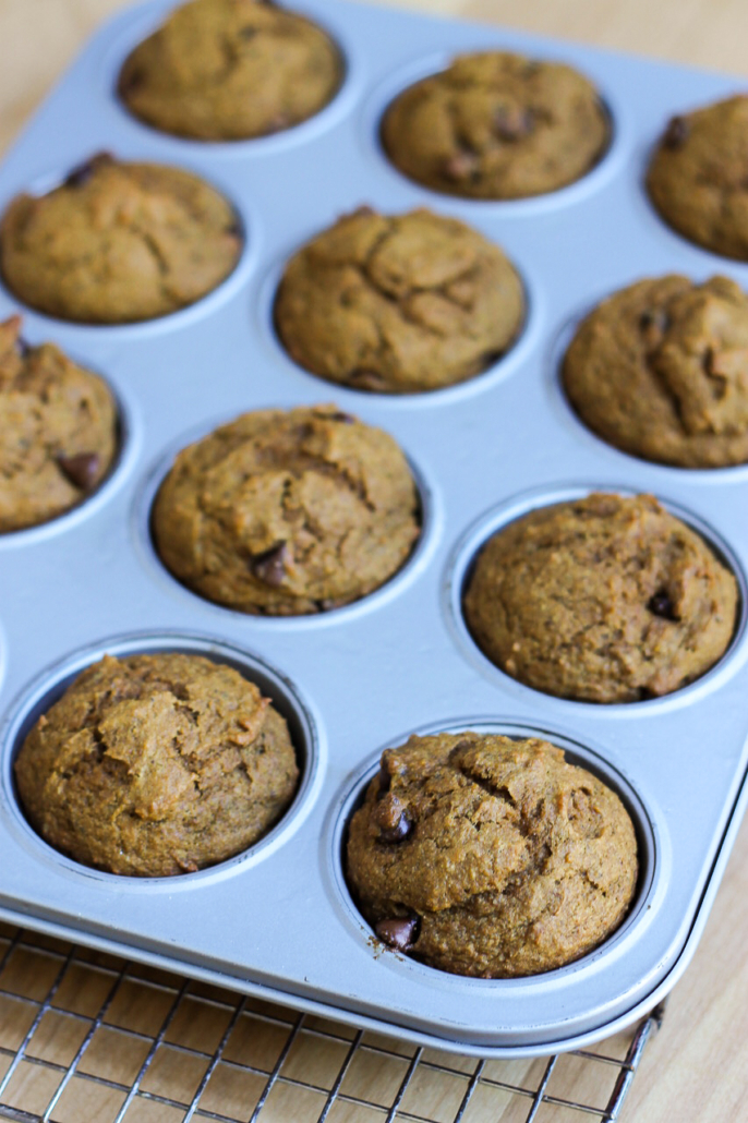 pumpkin chocolate chip muffins in a muffin tin on a cooling rack