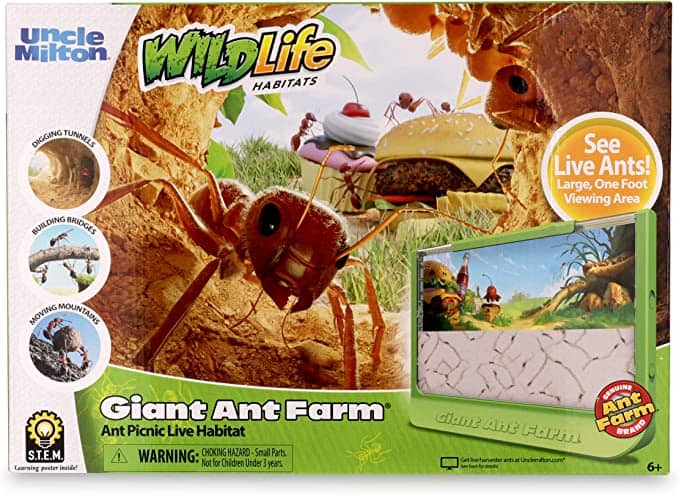 Stock photo of a box for a Giant Ant Farm.