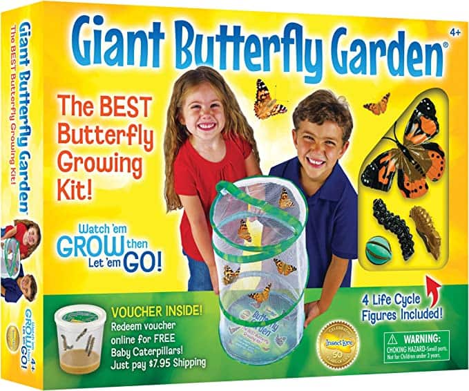 Stock photo of a box containing, Giant Butterfly Garden.