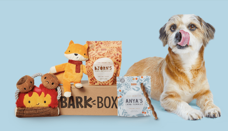 BarkBox with a dog licking his nose next to it and toys and treats sitting around the box.
