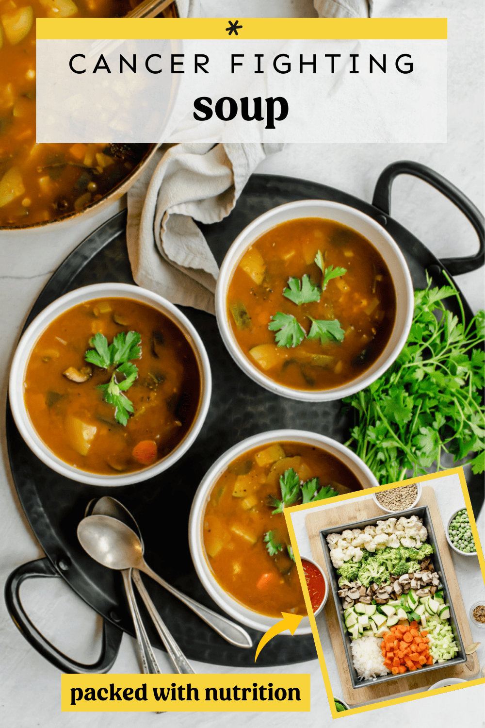 A stock pot and three bowls filled with cancer fighting vegetable soup.