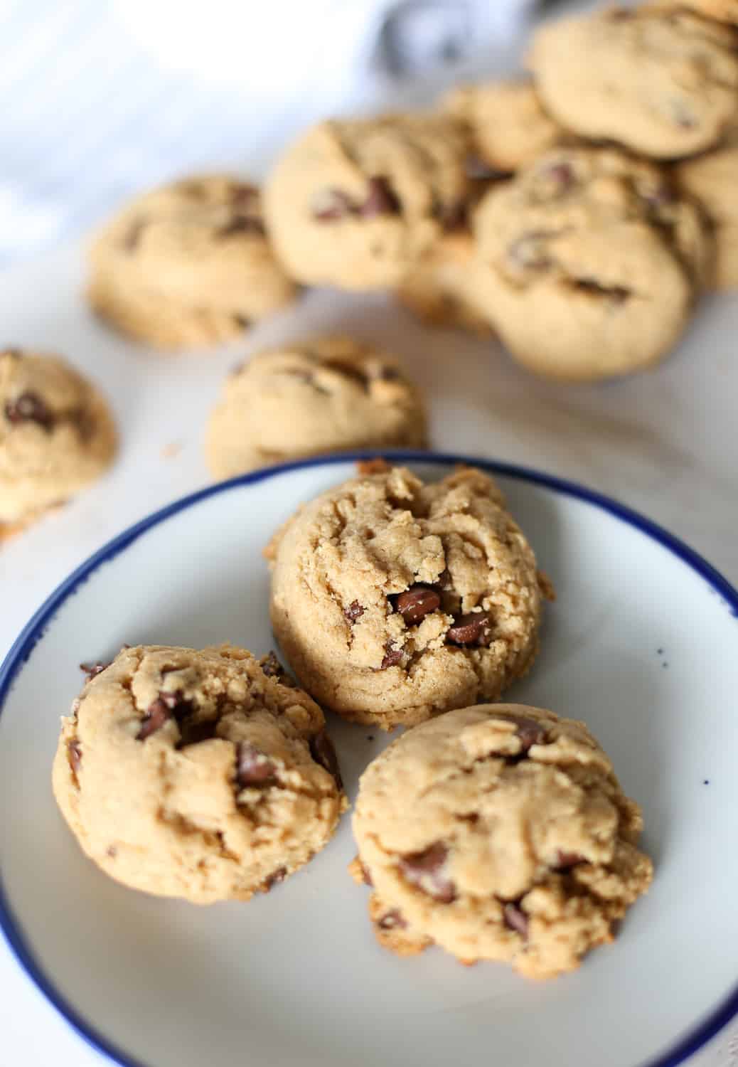 A plate of whole wheat chocolate chip cookies.