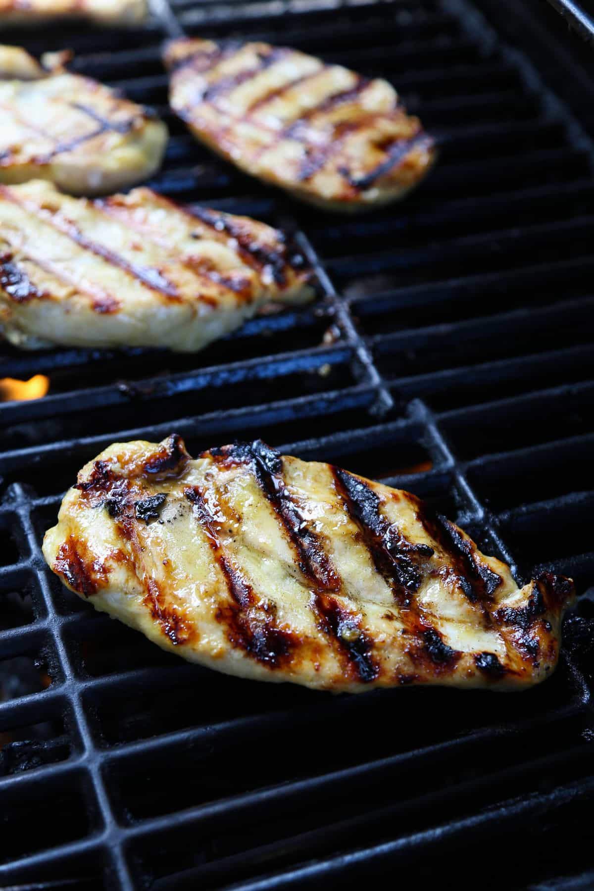 Marinated honey mustard chicken breasts on on the grill.