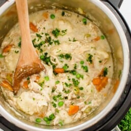 Instant Pot Chicken and Dumplings with chopped parsley sprinkled on top ready to be served.
