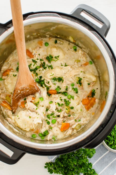 Instant Pot Chicken and Dumplings - Thriving Home