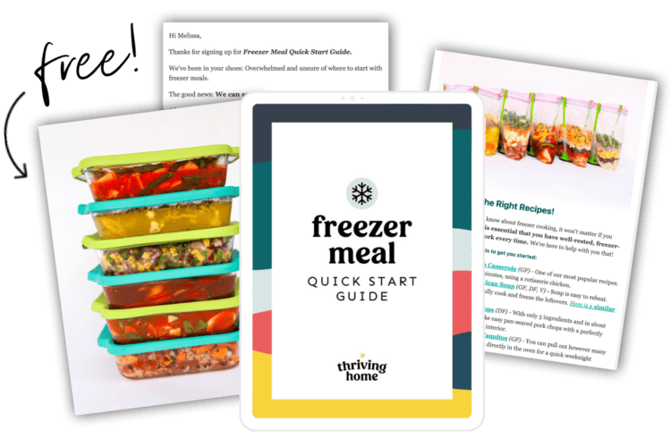 Freezer meal quick start guide CTA.