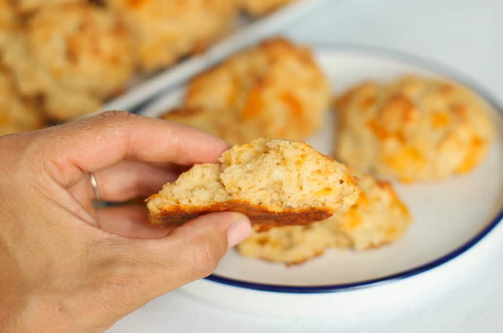 Hand holding a cheddar biscuit split in half