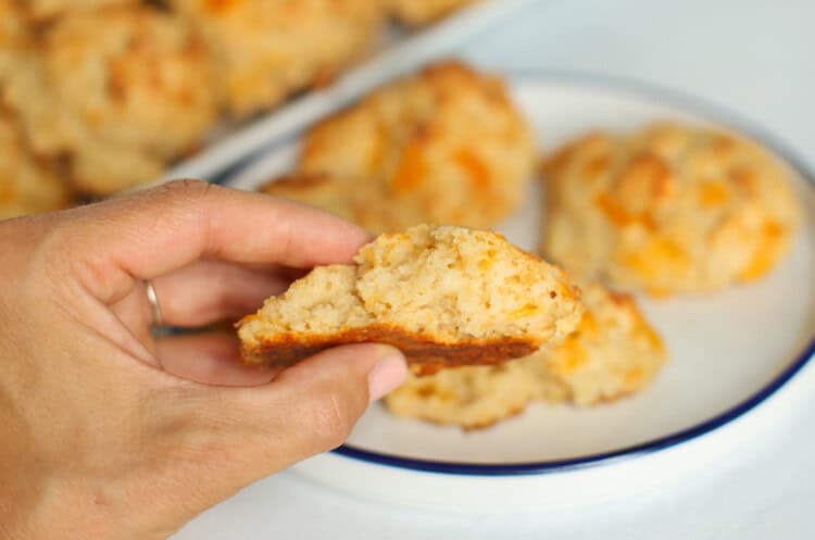 Easy Cheddar Biscuits {Crowd Pleaser!} - Thriving Home