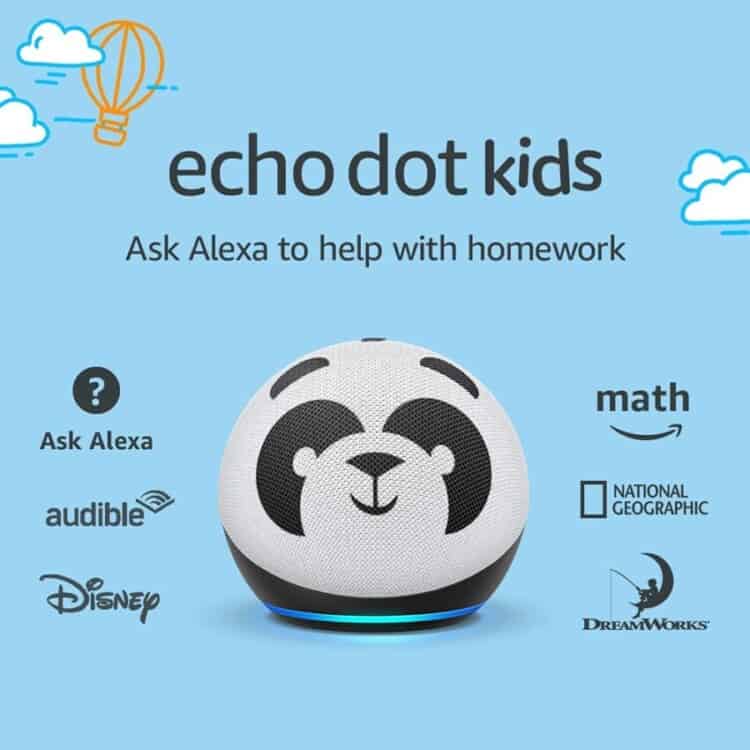Stock photo of an Echo Dot kids panda version.