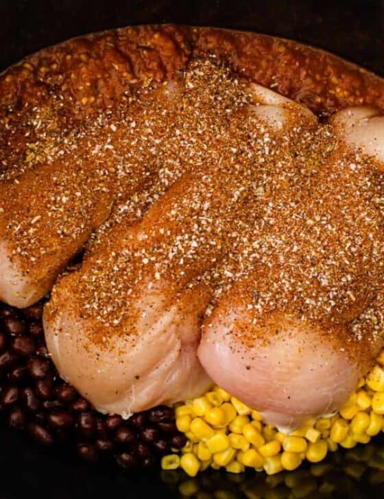 Seasoned chicken in a crock pot