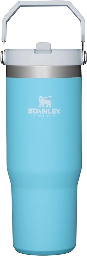 teal stanley water bottle.