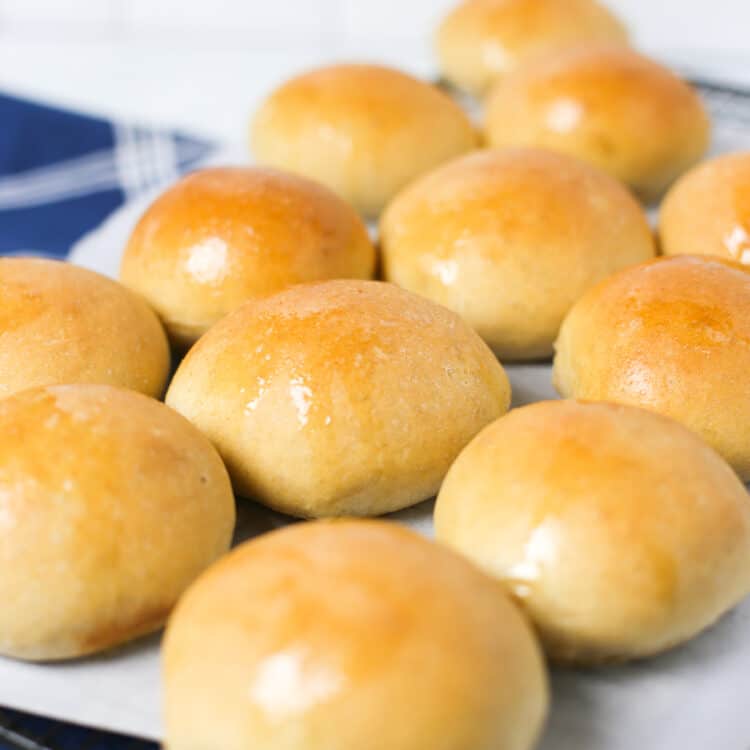 Bread machine wheat rolls on a parchment lined baking sheet.