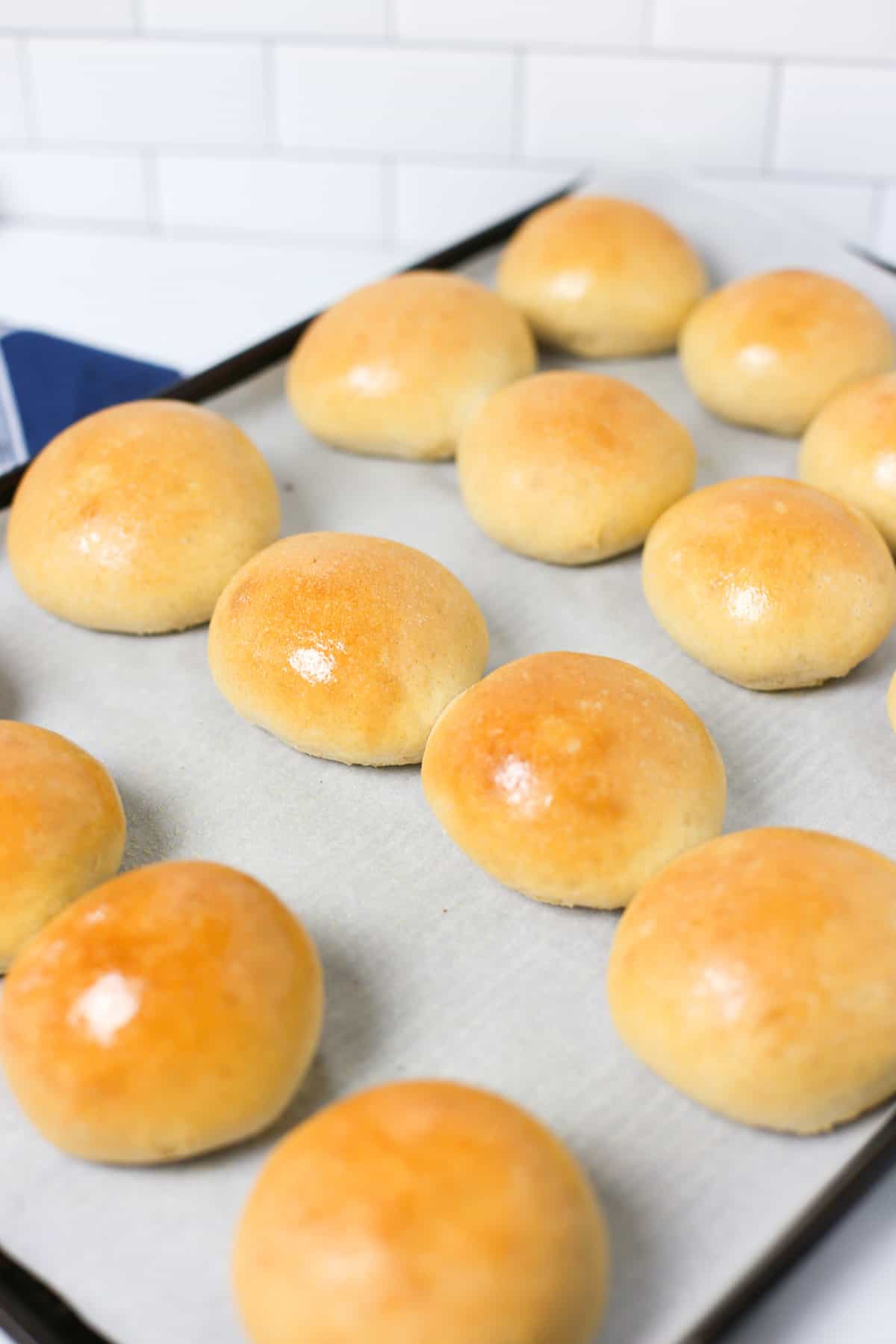Baked bread machine wheat rolls on a baking sheet with parchment paper.