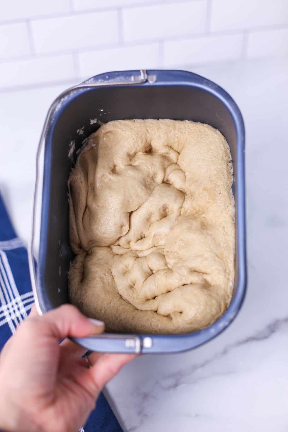 Fluffy Bread Machine Rolls - Brooklyn Farm Girl