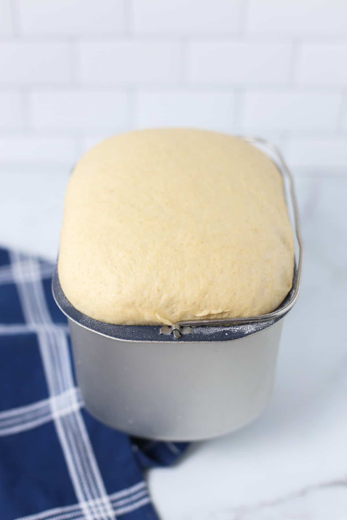 Bread dough rising out of the bread machine pan.