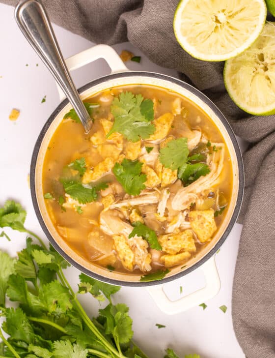 white bean chicken chili in a bowl with cilantro on top