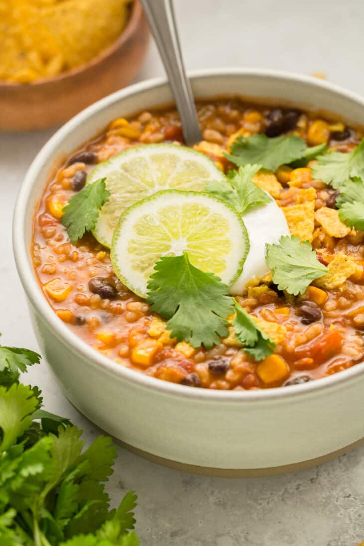 One Pot Instant Pot Tortilla Soup {Vegetarian, GF, & DF!}