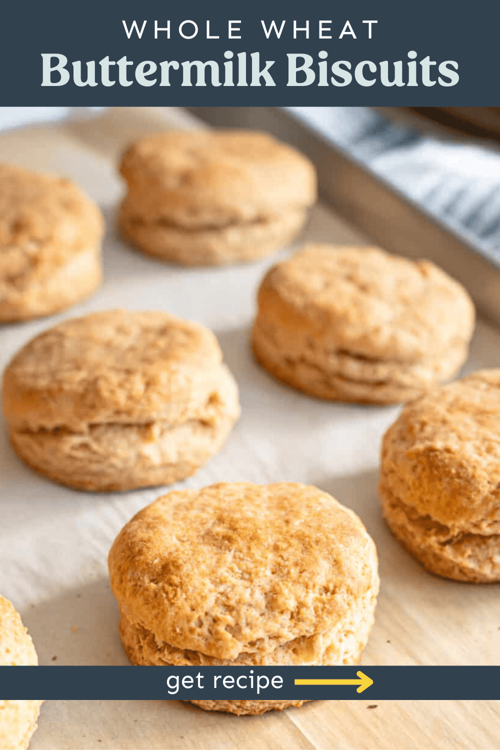 Whole wheat buttermilk biscuits on a parchment-lined baking sheet.