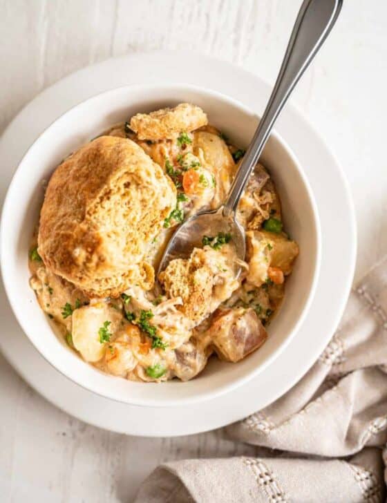 chicken pot pie filling in a bowl with biscuit on top