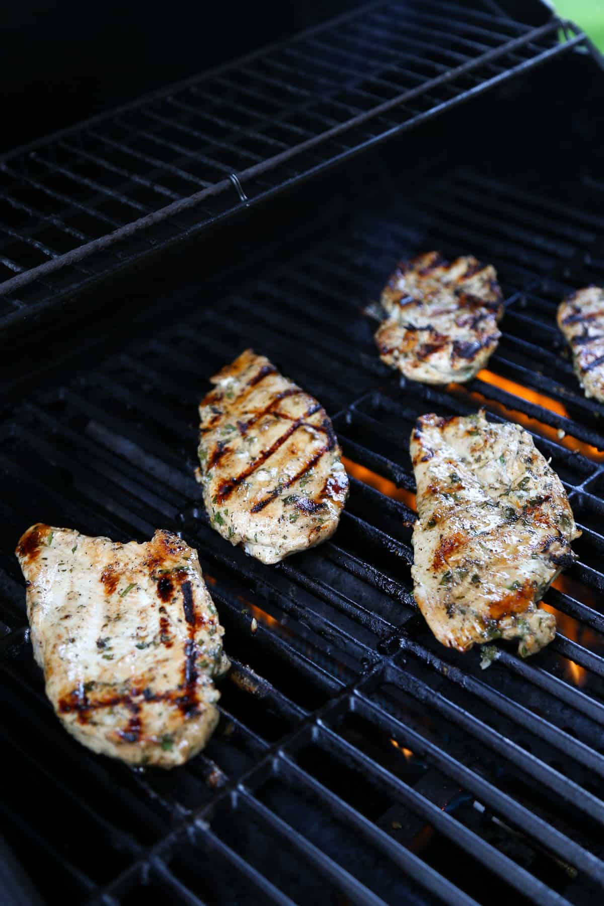 Chicken breasts on a grill.