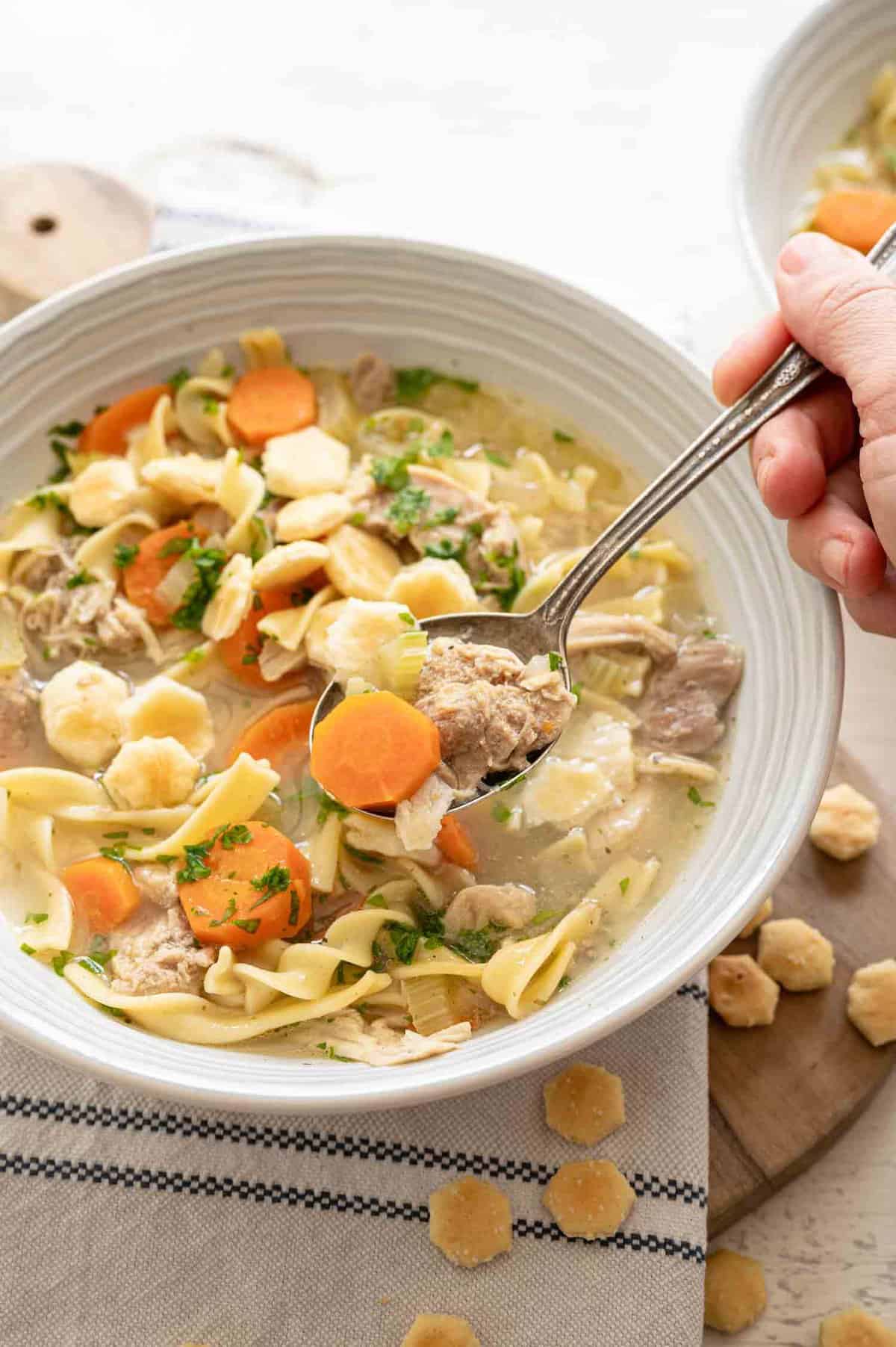 Instant pot chicken noodle soup with frozen egg noodles hot sale