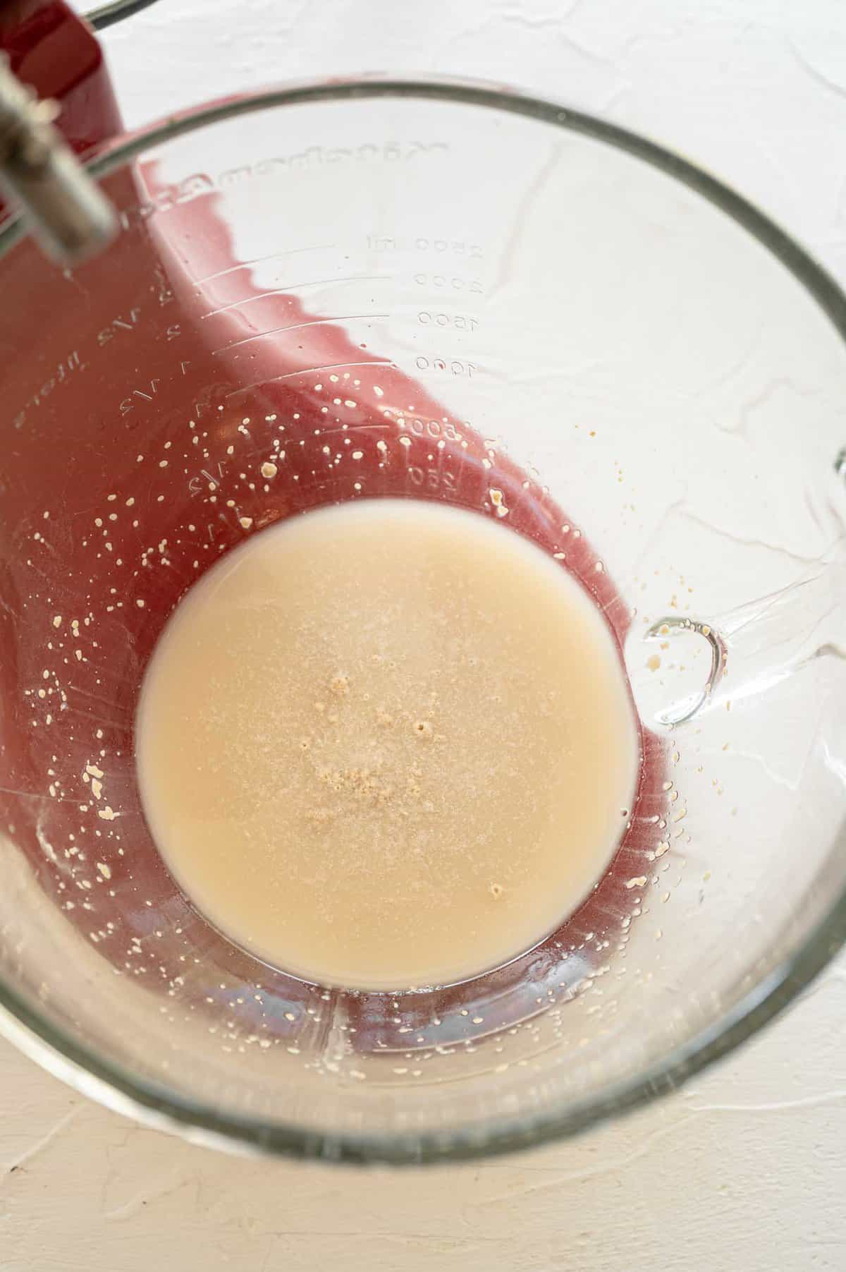 Yeast, water, and sugar in a stand mixer waiting to proof and be turned into calzone dough.