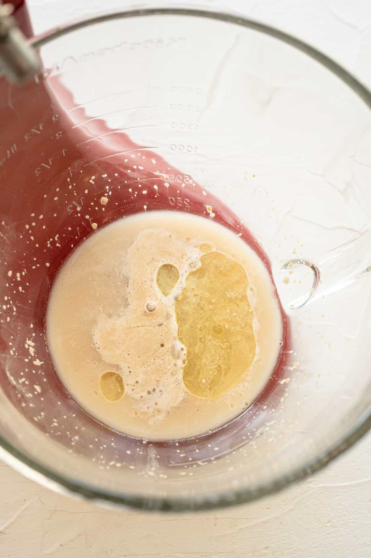 oil added to yeast mixture in a stand mixer bowl