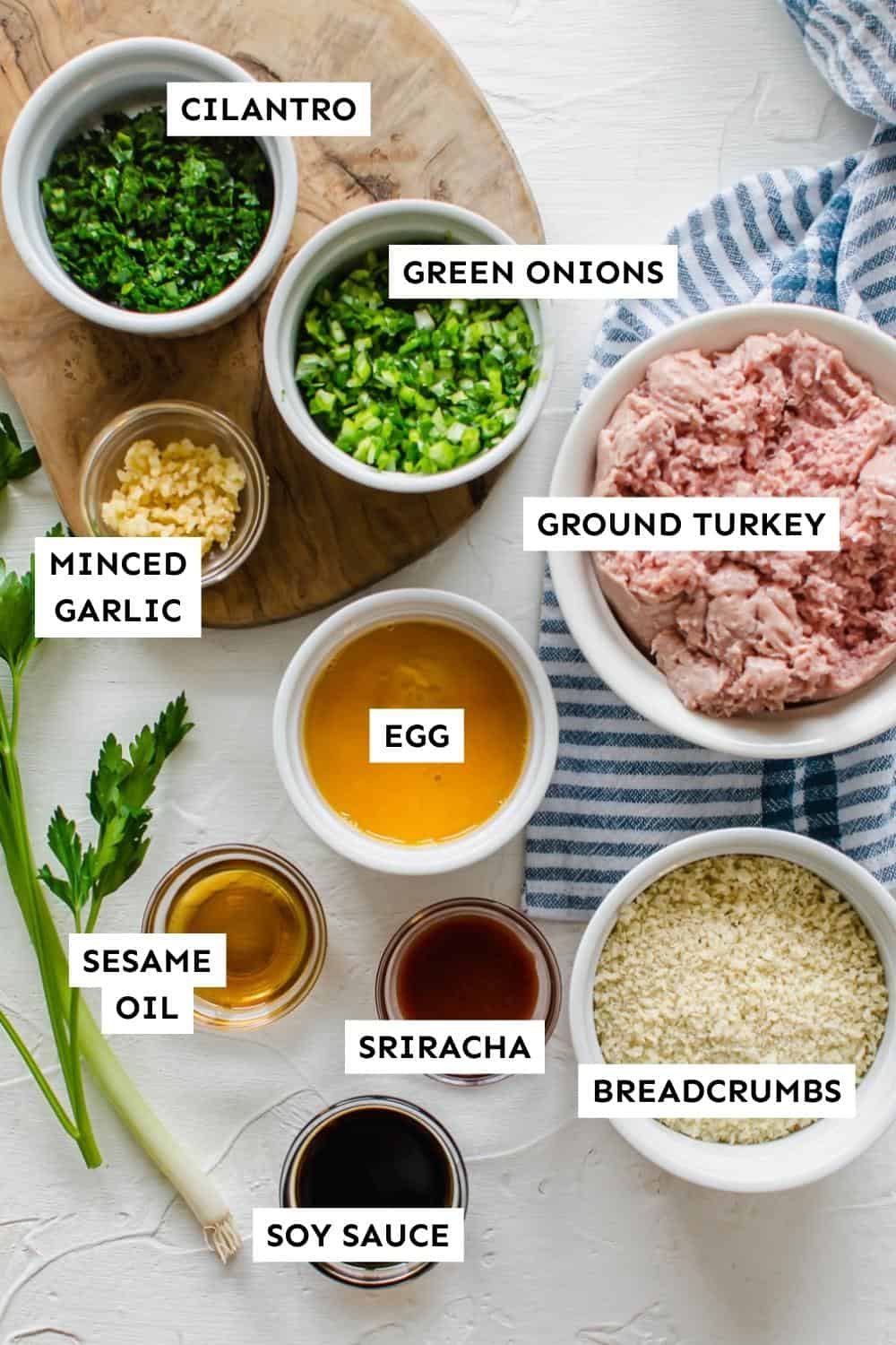 Ingredients for Asian Turkey Meatballs measured out and labeled.