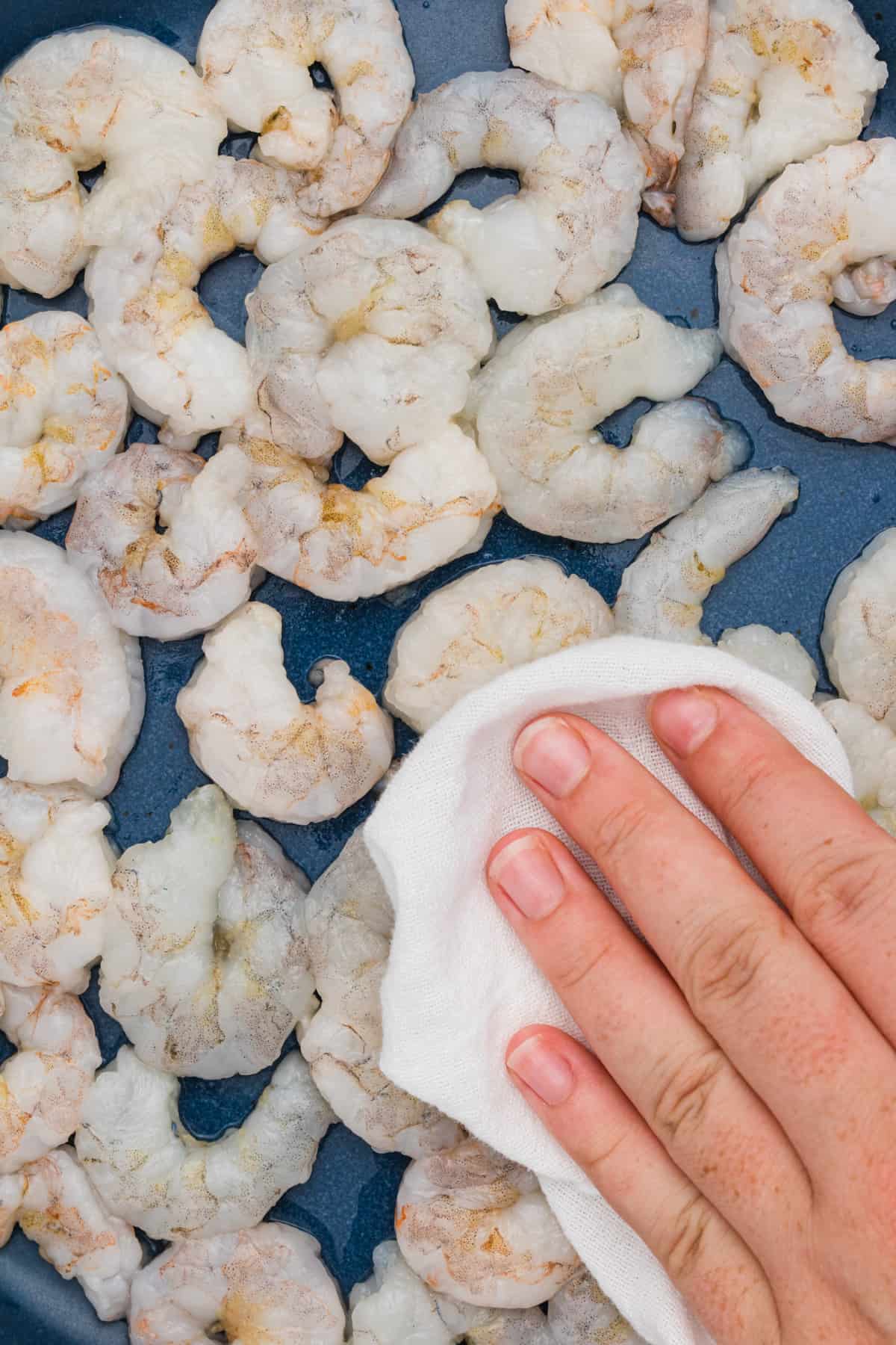 Raw shrimp being patted down dry in preparation for Shrimp Scampi Pasta.