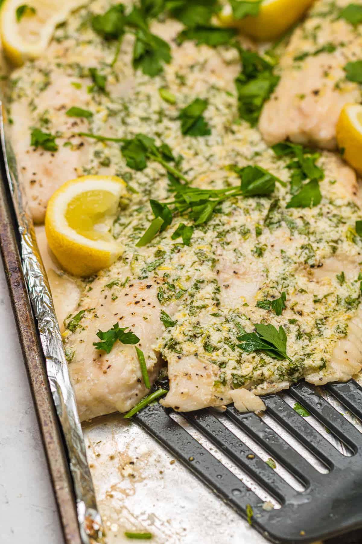 Parmesan Broiled Tilapia on a foil-lined baking sheet with a spatula going underneath a filet to begin serving.