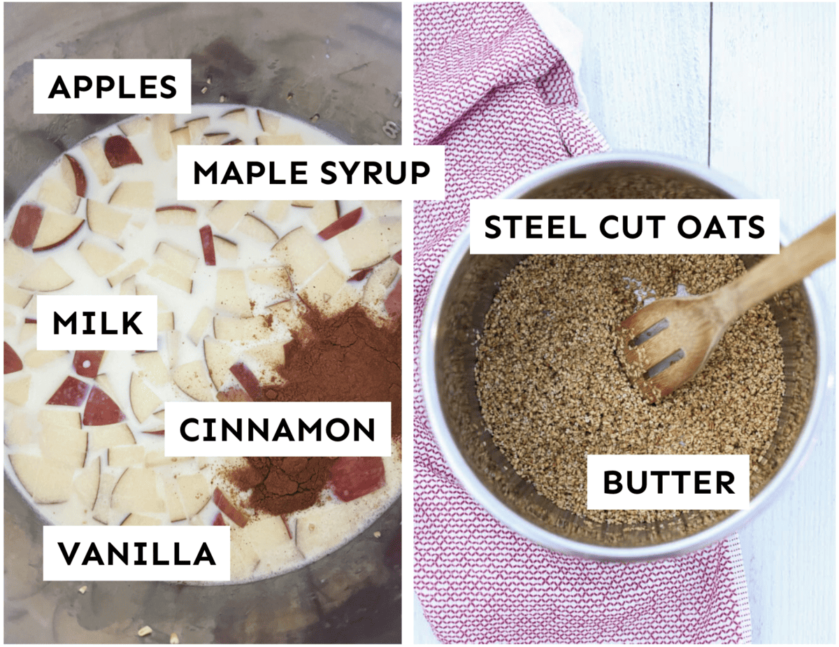 Labeled ingredients for apple cinnamon steel cut oats. 