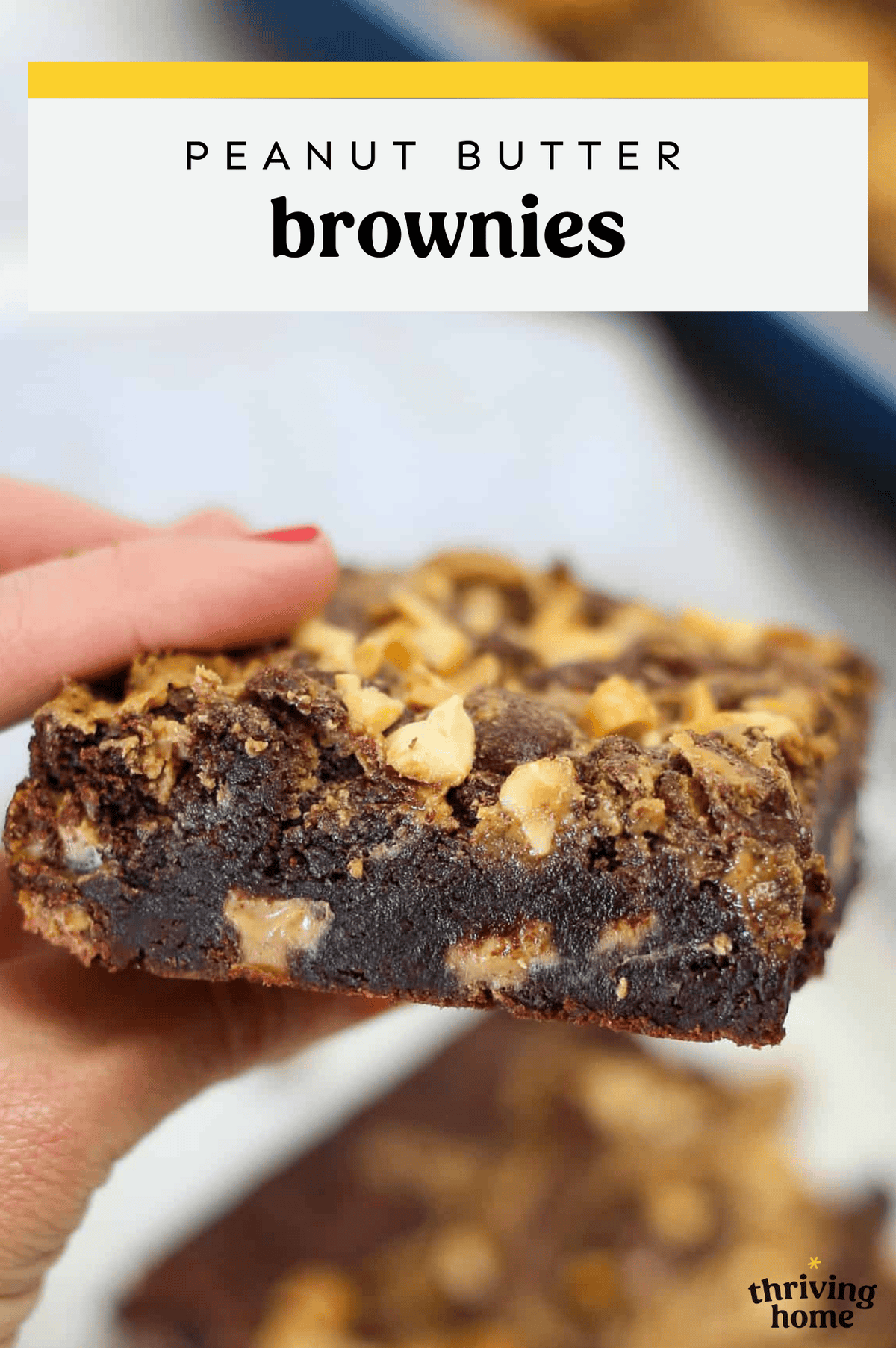 A hand holding a peanut butter brownie so you can see the peanut butter chips inside.