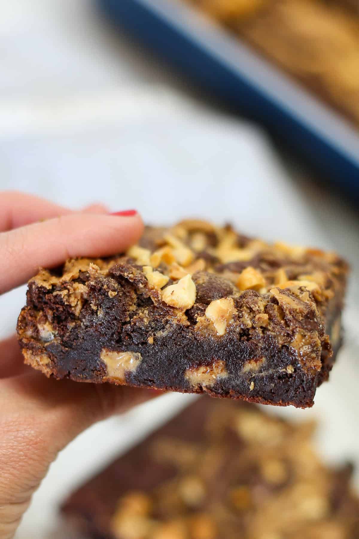 A hand holding a peanut butter swirl brownie.