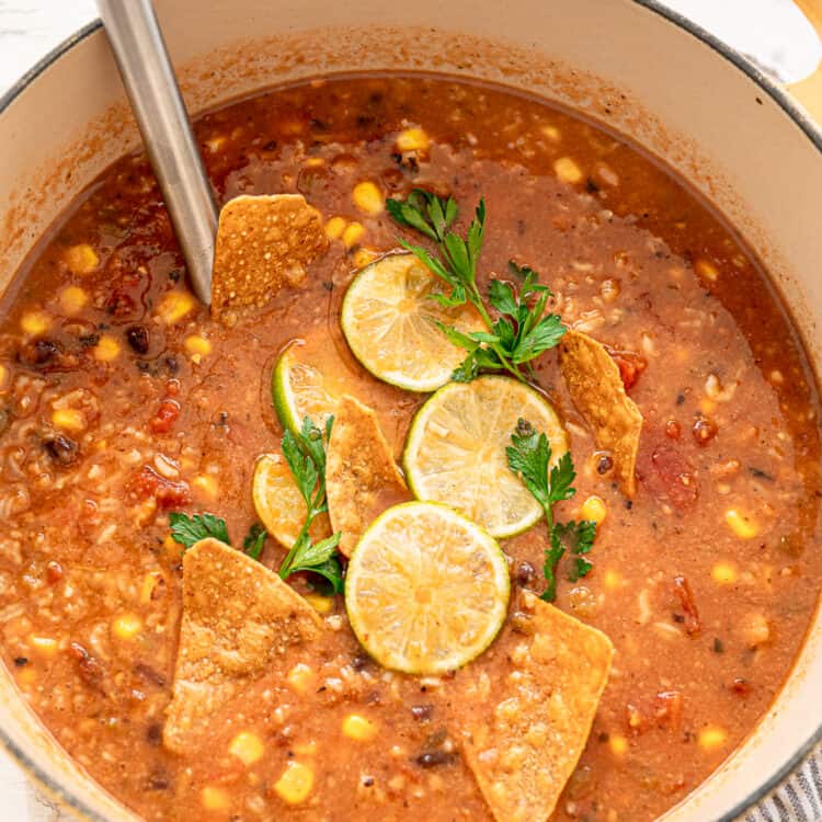 Chicken Tortilla Soup Big Batch and Freezer Friendly - Modern Crumb