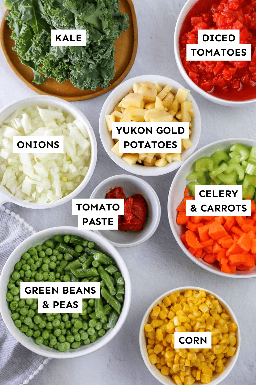 Ingredients for "Eat Your Veggies Soup"  measured out and labeled.