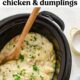 Chicken and dumplings in a slow cooker with a spoon.