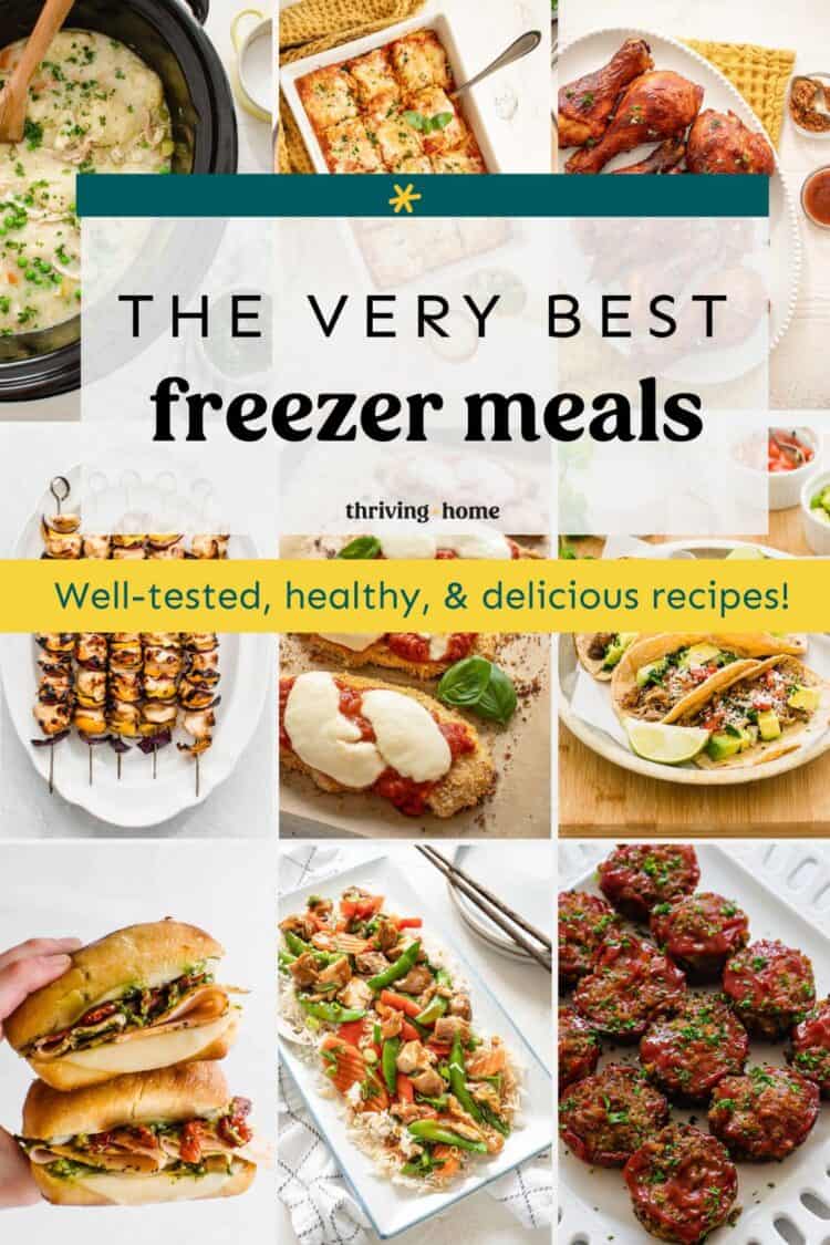 Best Freezer Meals on the Internet (Easy & Healthy!)