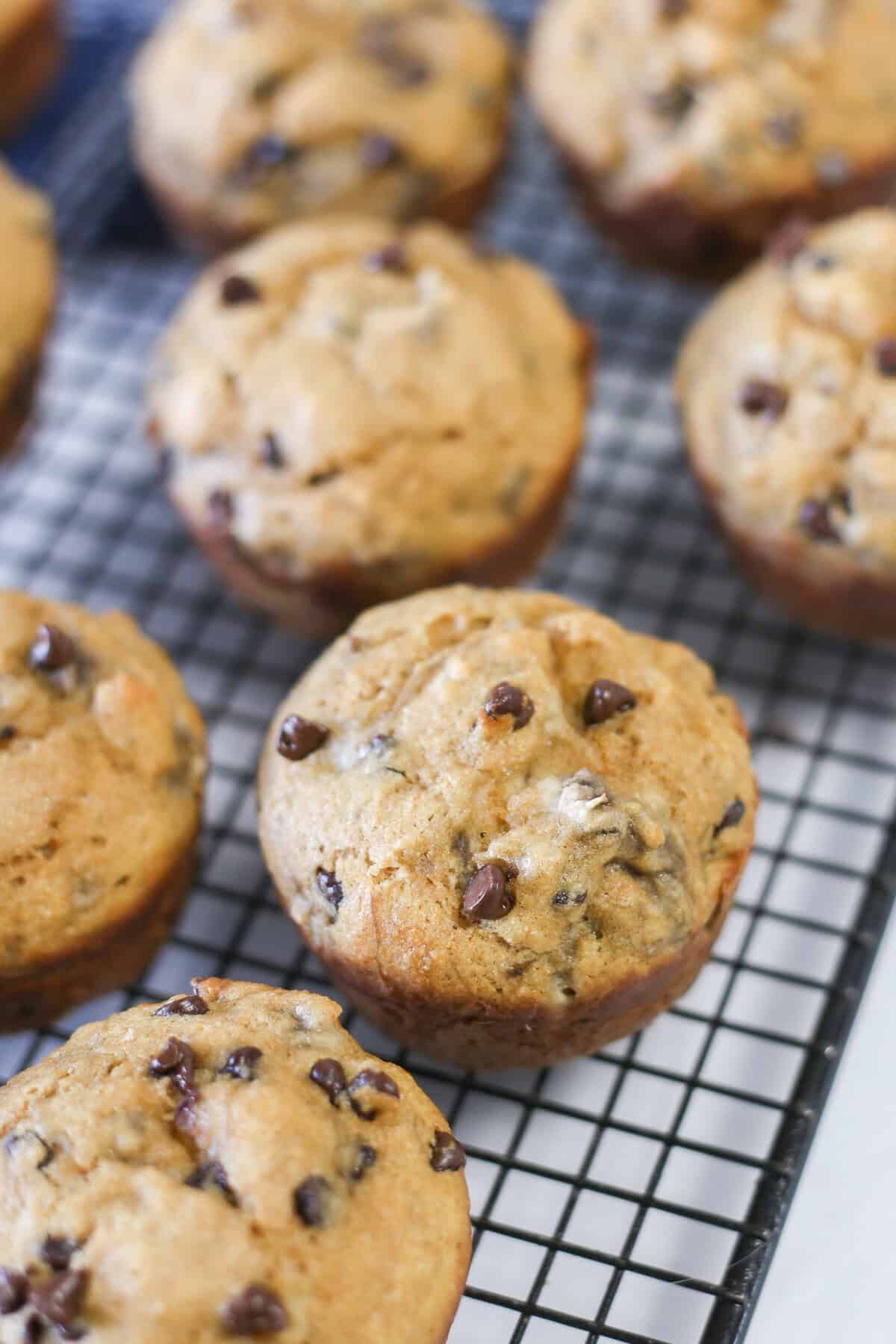 Multiple banana chocolate chip muffins on a cooling rack.