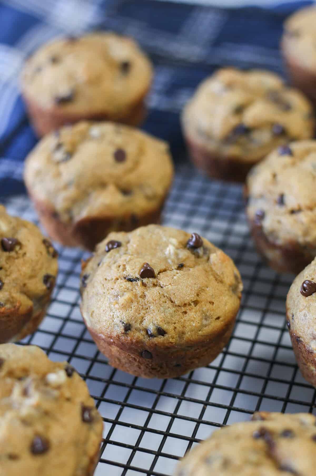 Multiple banana chocolate chip muffins on a cooling rack.