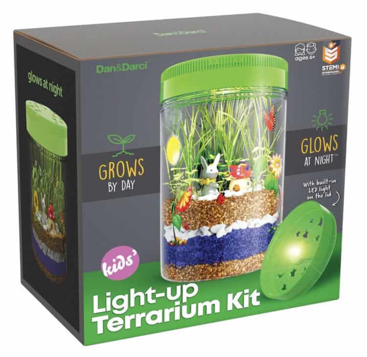 Light up terrarium.