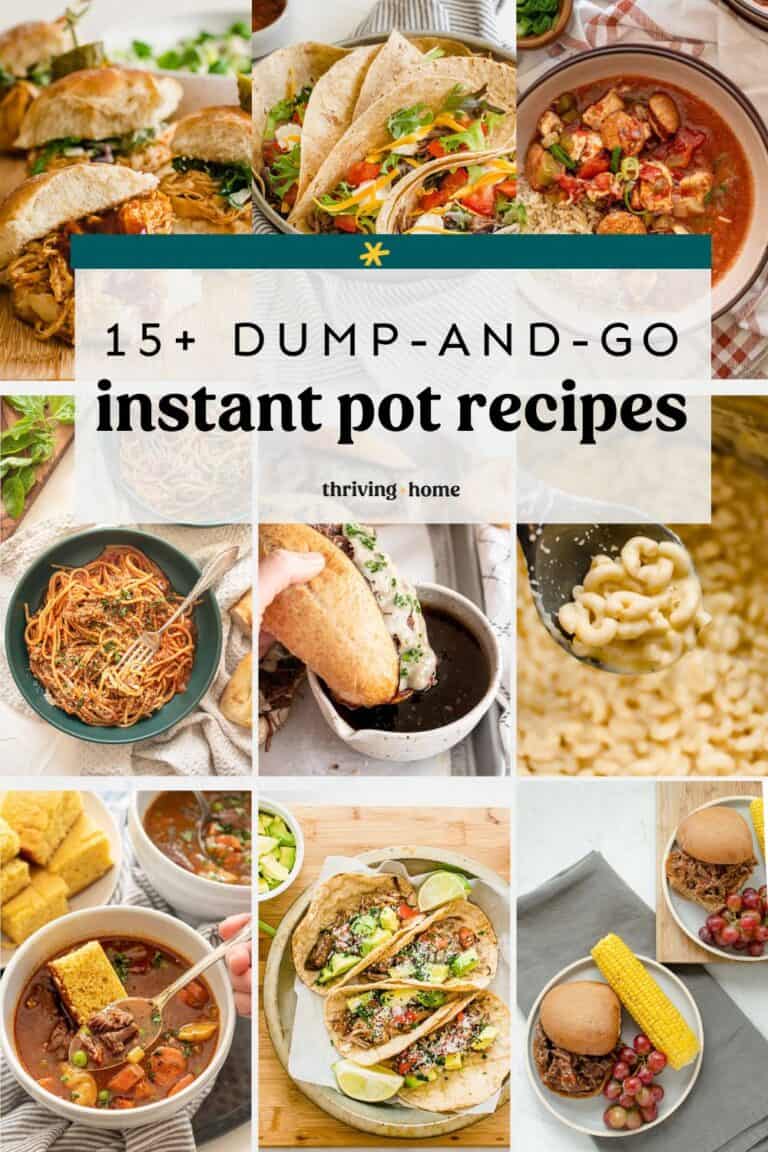 Instant Pot Dump Recipes (Well-Tested!)