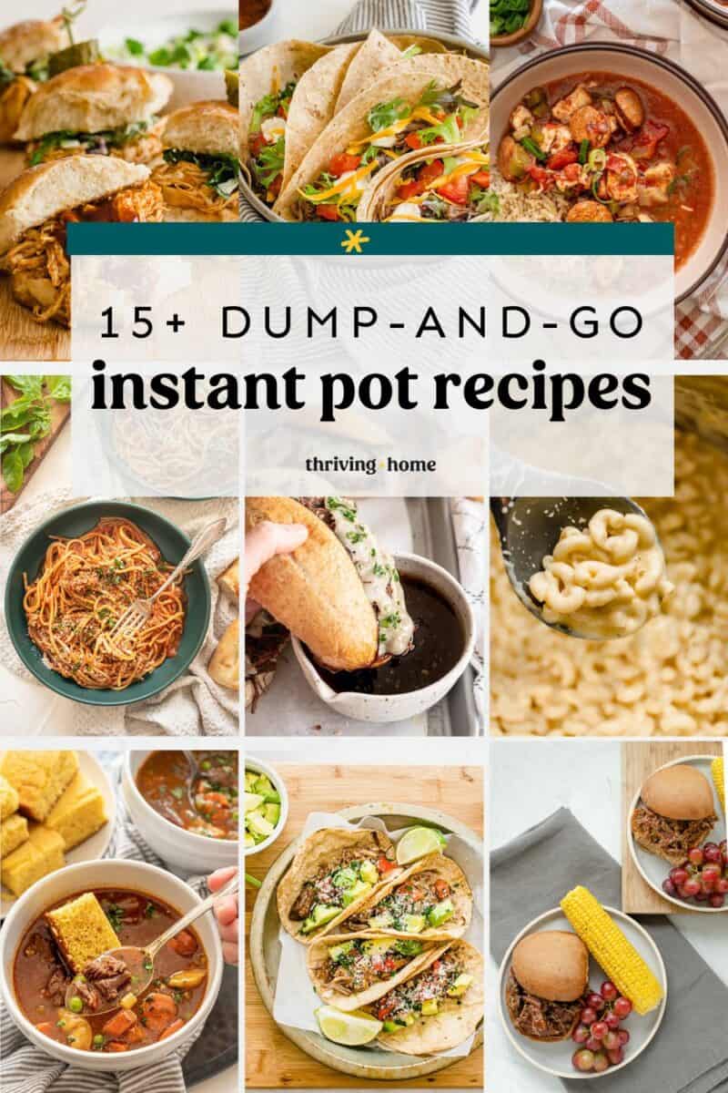 Instant Pot Dump Recipes (Well-Tested!)