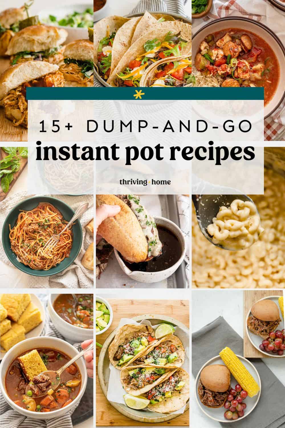 Dump dinners instant pot sale